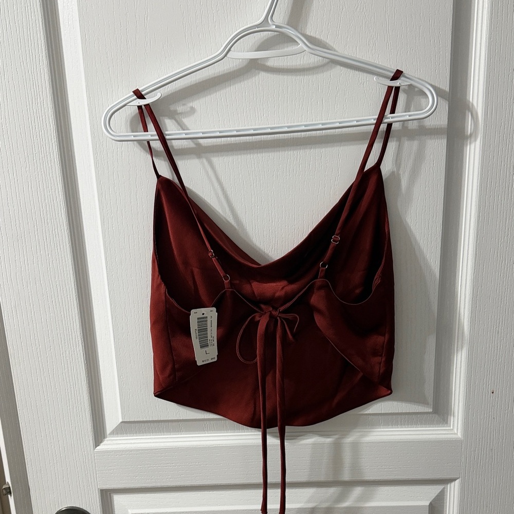 Elegant rust Satin Crop Top from Envy